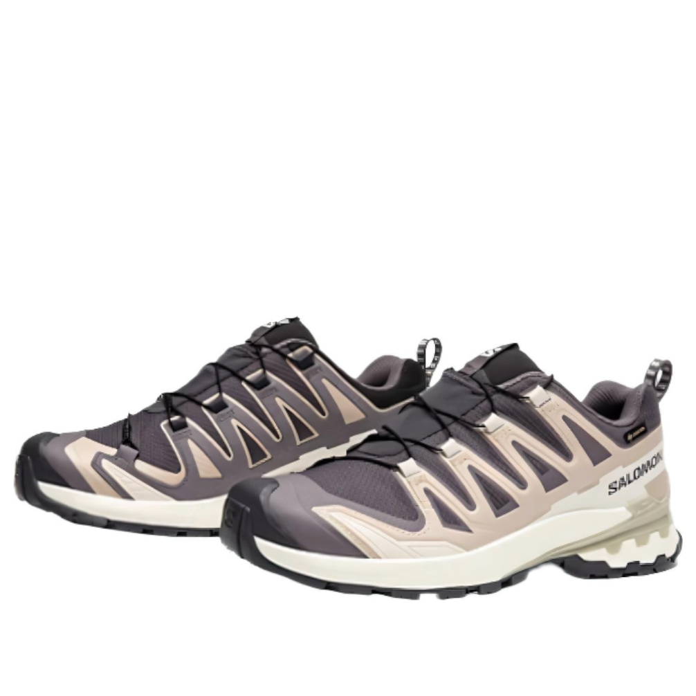 Salomon XA Pro 3D V9 GTX 'Dark Grey Beige' 477447