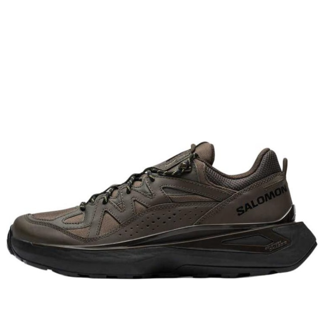 SALOMON Odyssey ELMT Low LTR 'Brown' 476757