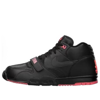 Nike Air Trainer 1 'Revis Island' 532303-001