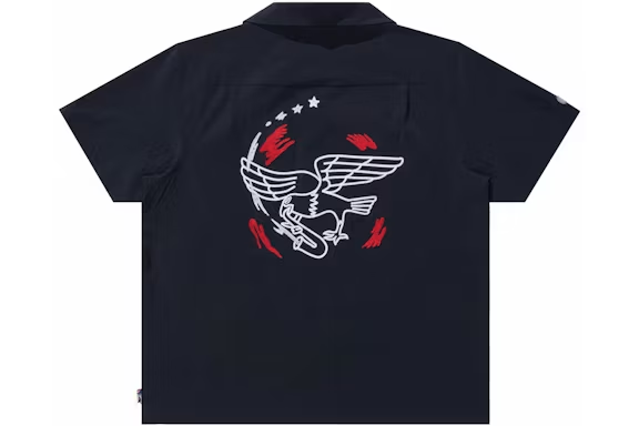 Nike SB Bowler Shirt 'Team USA' FZ4054-451