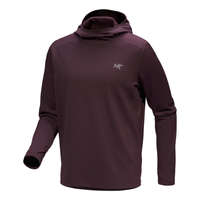 Arc'Teryx Cormac Heavyweight Hoody Top 'Purple' X000007404-PURPLE
