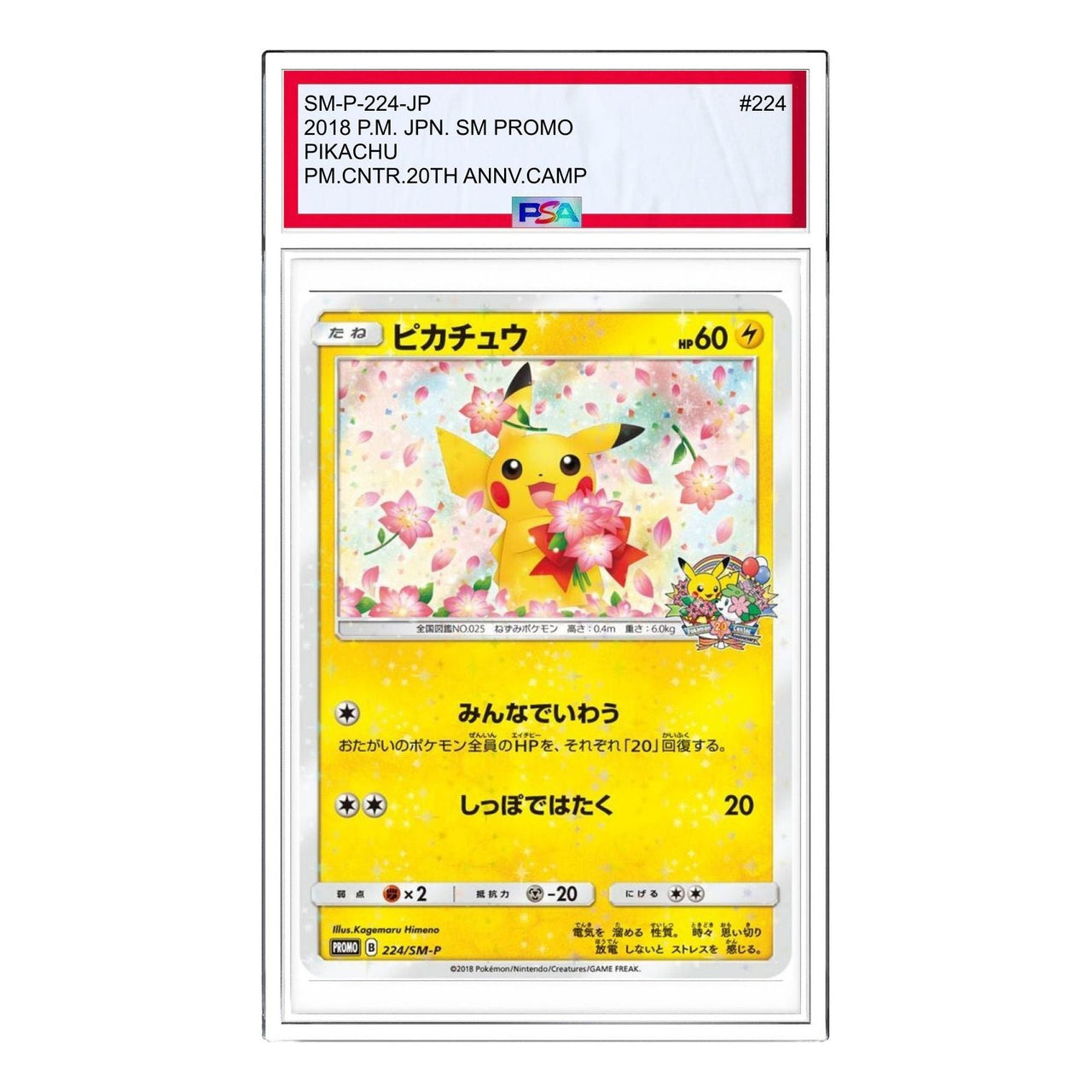 Pokemon SM-P Promotional cards [SM-P 224] 'Pikachu: PROMO' SM-P-224-JP