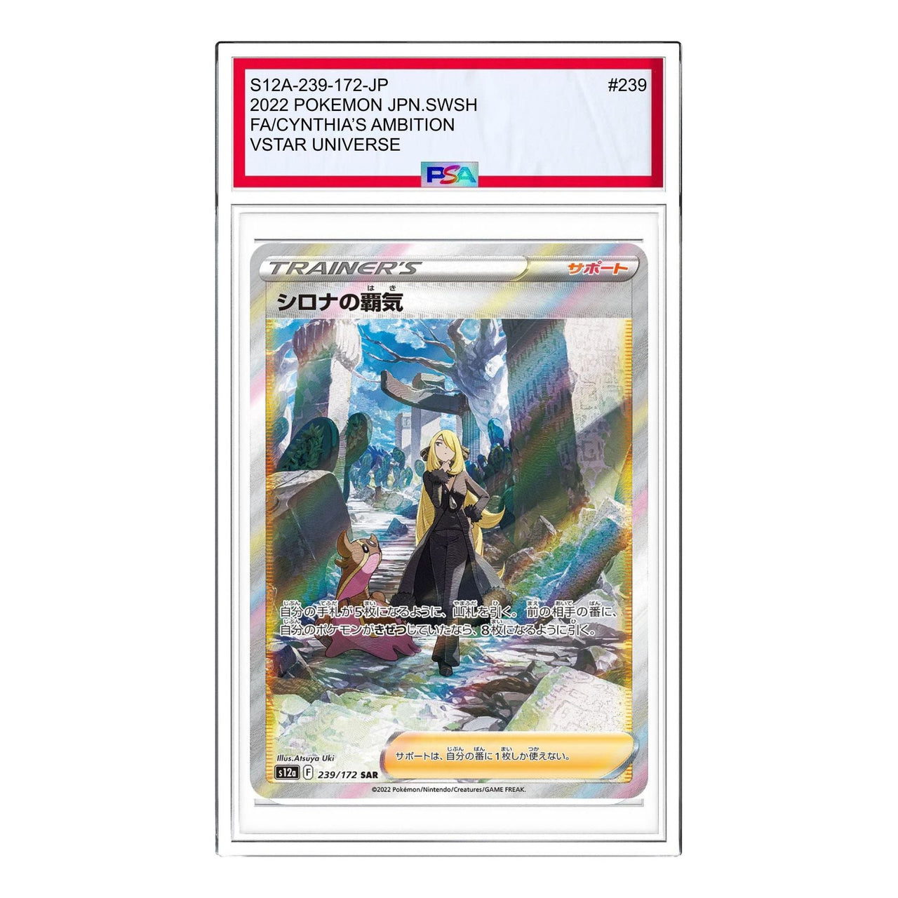 Pokemon VSTAR  Universe [s12a 239/172] 'Cynthias Ambition SAR' S12A-239-172-JP