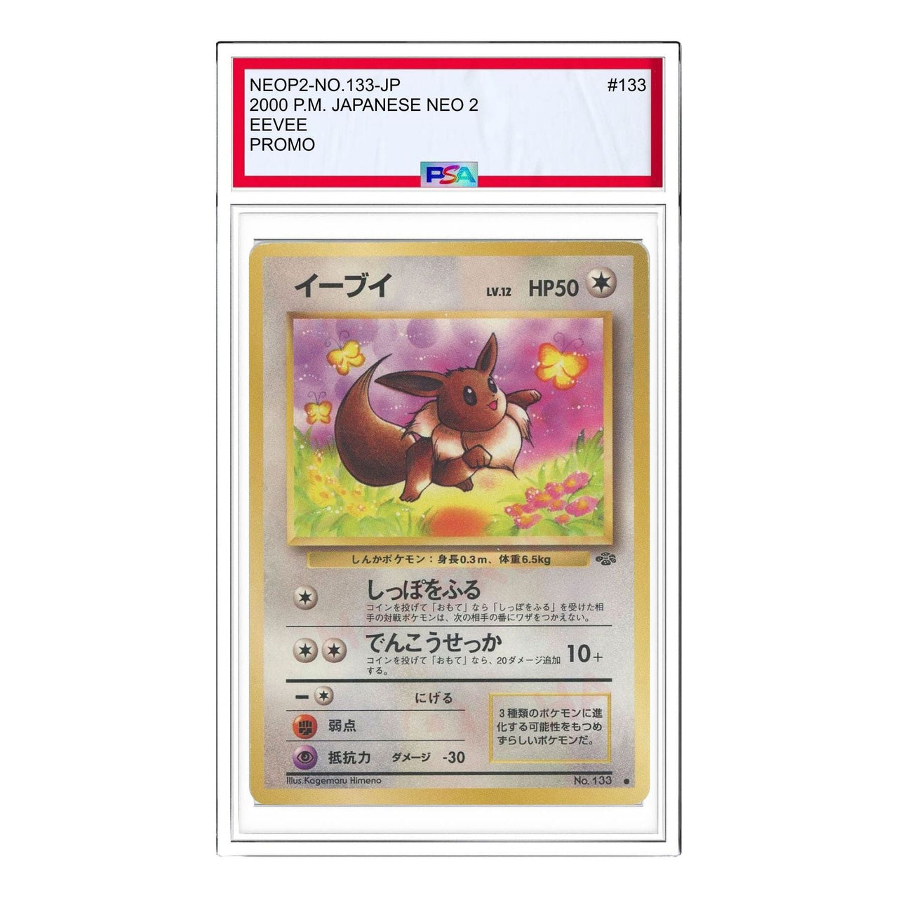 Pokemon Premium File 2 [neoP2 No.133] 'Eevee Premium File 2: Old Back' NEOP2-NO.133-JP