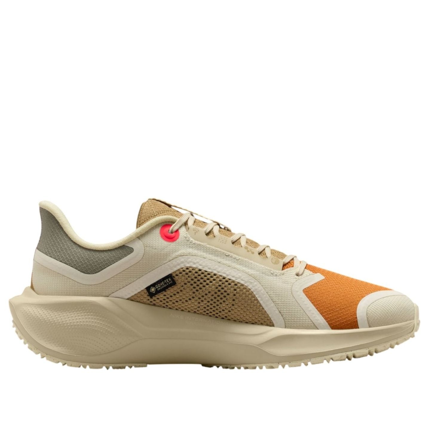 Nike Air Zoom Pegasus 41 Gore-Tex 'Running Poets' IM6700-852