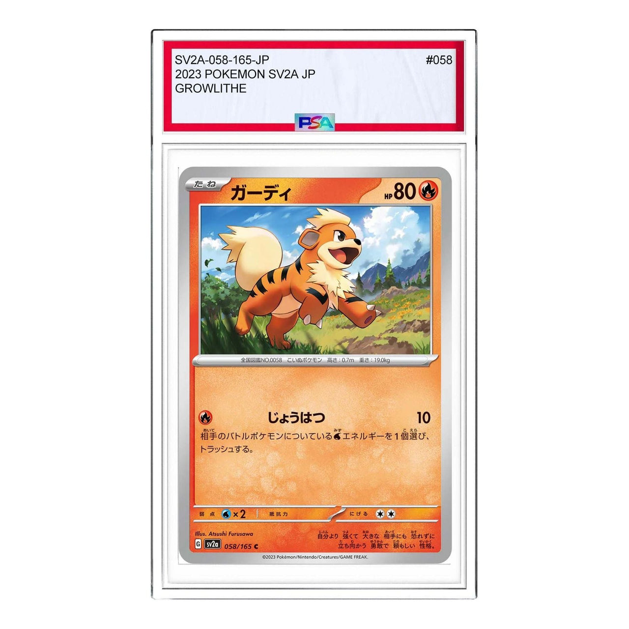 Pokemon Pokemon Card 151 [SV2a 058/165] 'Growlithe C' SV2A-058-165-JP