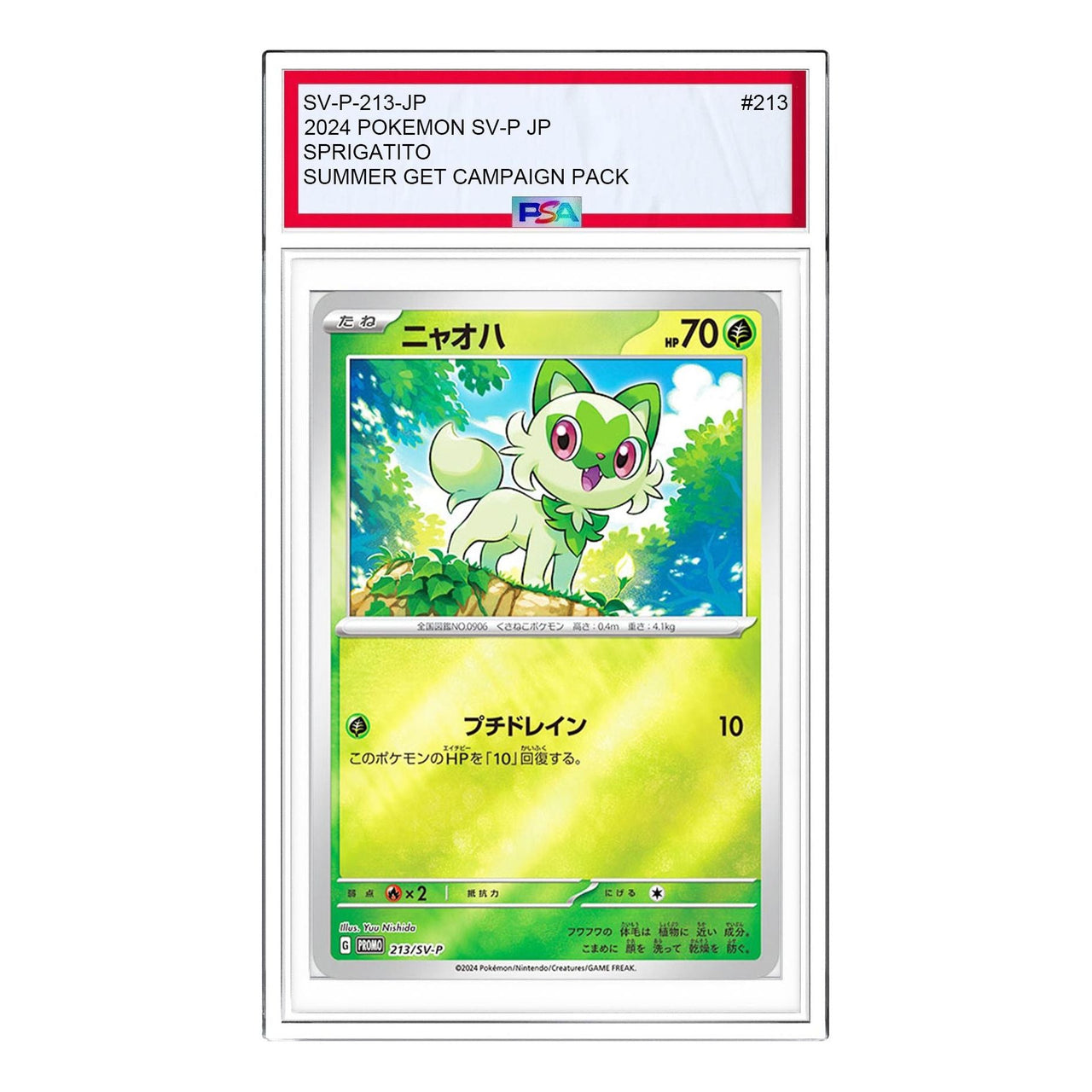Pokemon Pokemon Card Summer is Here! Get a Promo Card Campaign! [SV-P 213] 'Sprigatito P' SV-P-213-JP