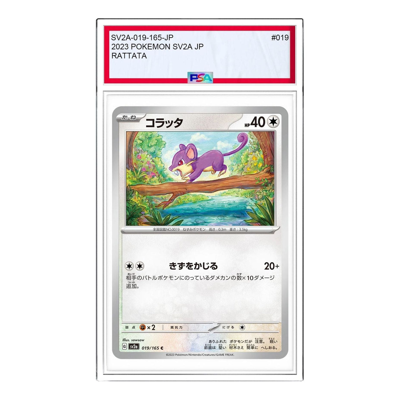 Pokemon Pokemon Card 151 [SV2a 019/165] 'Rattata C' SV2A-019-165-JP