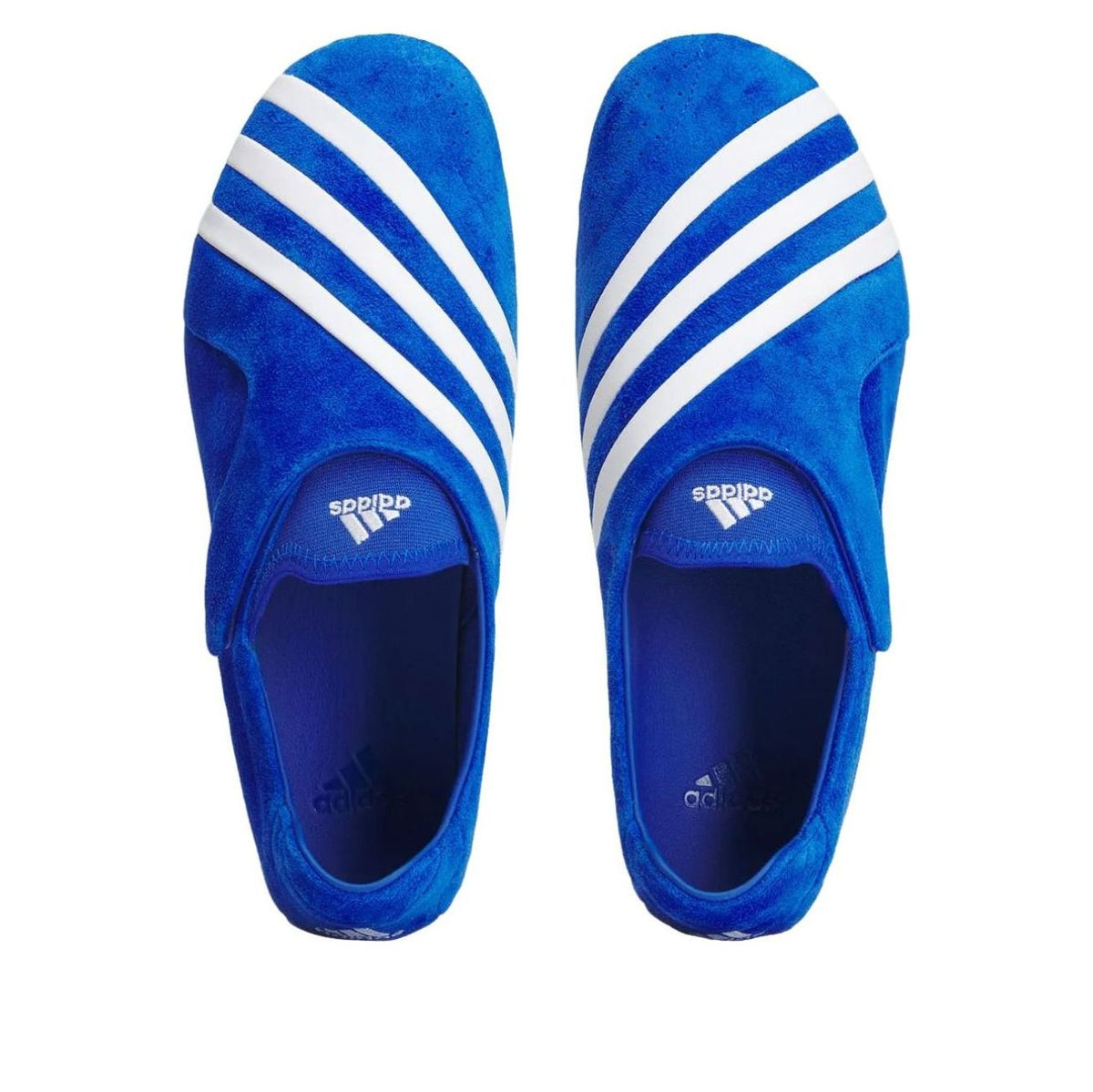 adidas x Pharrell Williams Vario Flat Earther 'Team Royal Blue Cloud White' KJ9380