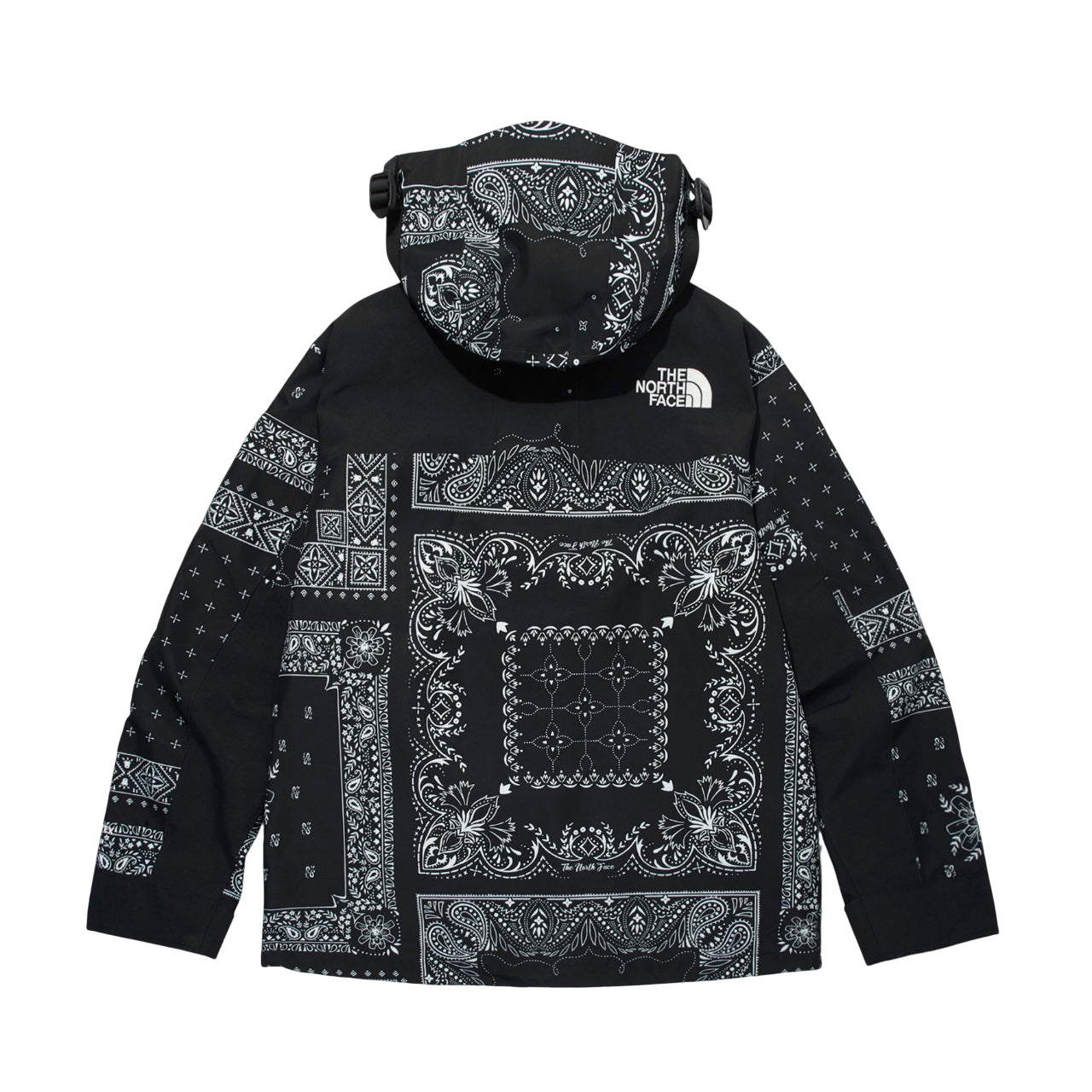 THE NORTH FACE Novelty Gore-Tex Mountain Jacket 'Paisley Black' NJ2GM50E