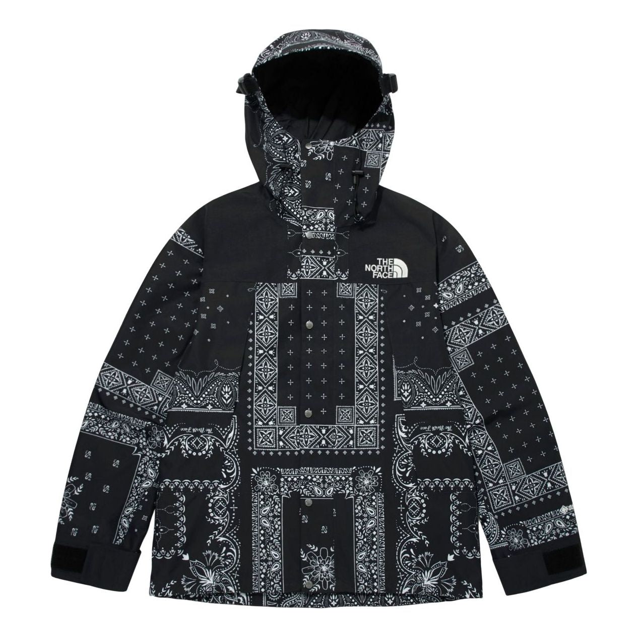 THE NORTH FACE Novelty Gore-Tex Mountain Jacket 'Paisley Black' NJ2GM50E