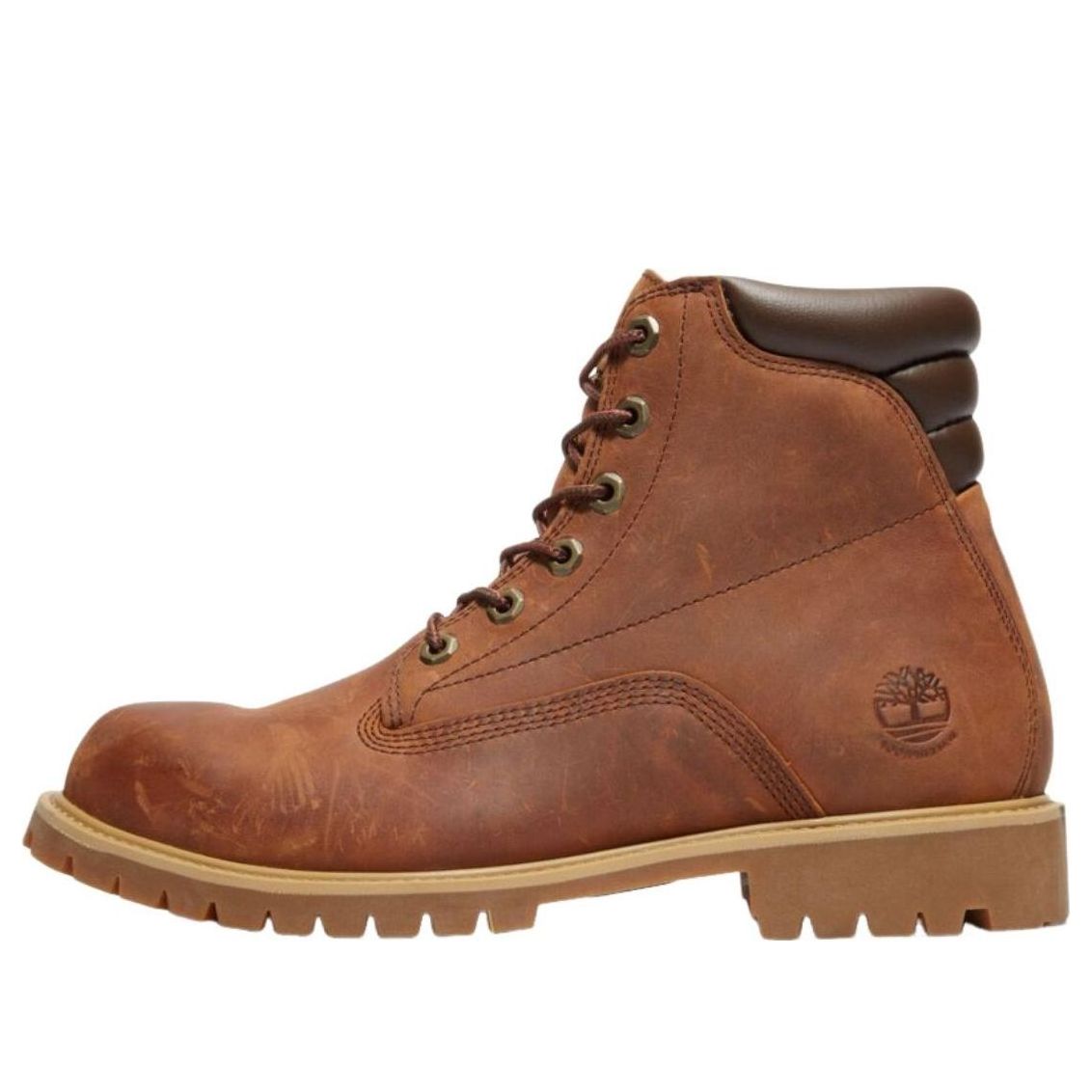 Timberland Alburn 6 Inch Waterproof 'Mocha Bisque' TB1A1H8Q8551