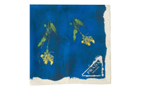 PRADA Silk Scarves Women's Blue