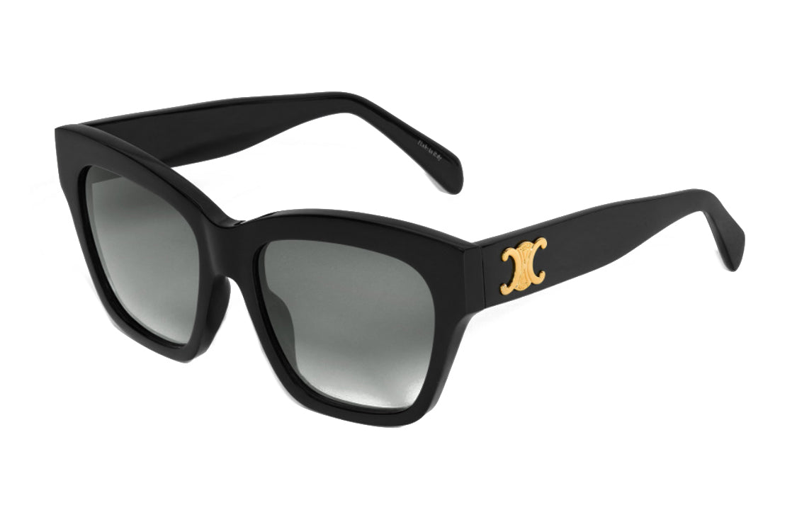 CELINE Triomphe 09 Sunglasses In Acetate