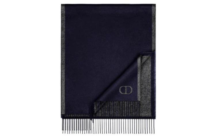 DIOR Silk Scarves Men Blue