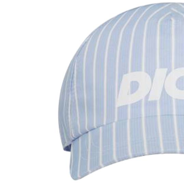 DIOR Logo Printed Striped Baseball Cap