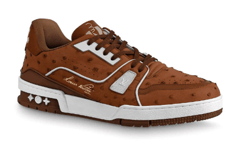 LOUIS VUITTON Trainer Stylish Skateboarding Shoes Unisex Chocolate Brown