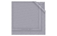 DIOR Knit Scarves Women's Gray