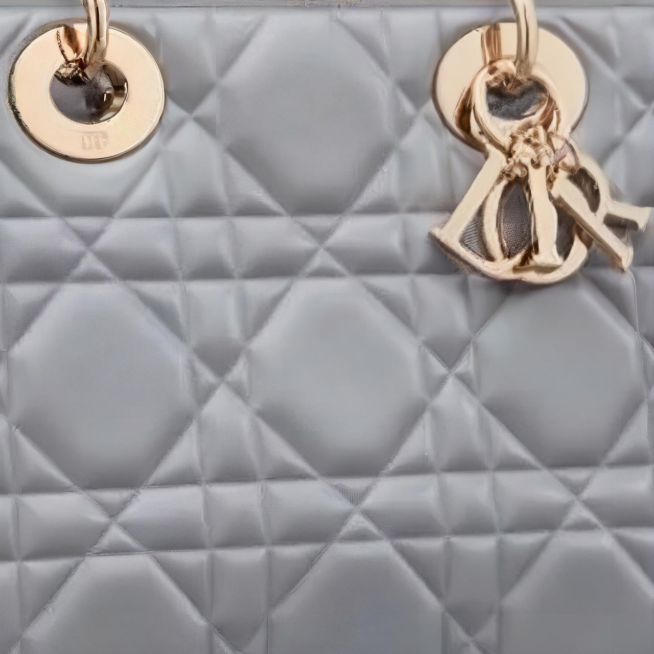 DIOR Calfskin Daisie Bag Shoulder Bag Crossbody Bag Handbag Medium Size Women's Powder Blue