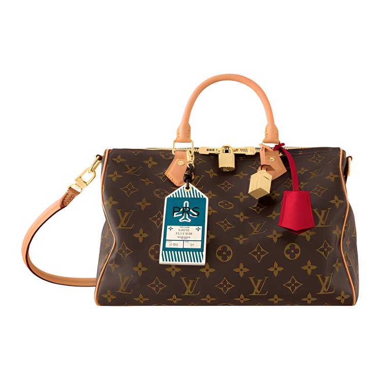 LOUIS VUITTON Speedy Soft 30 Crafty