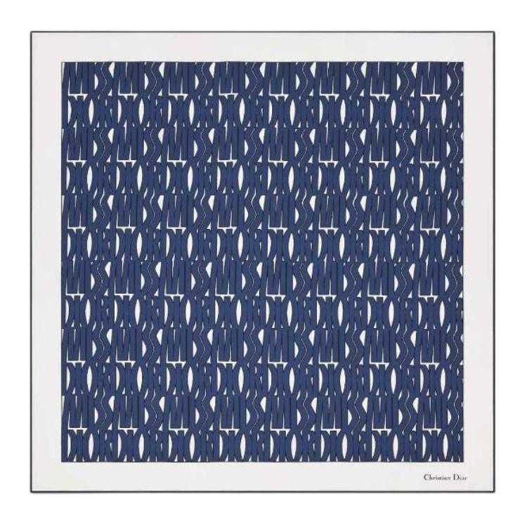 DIOR Silk Silk Scarves Women's Blue