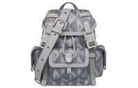 DIOR Hit The Road Cow Leather With Canvas Shoulder Bag, Crossbody Bag Mini Dio Gray