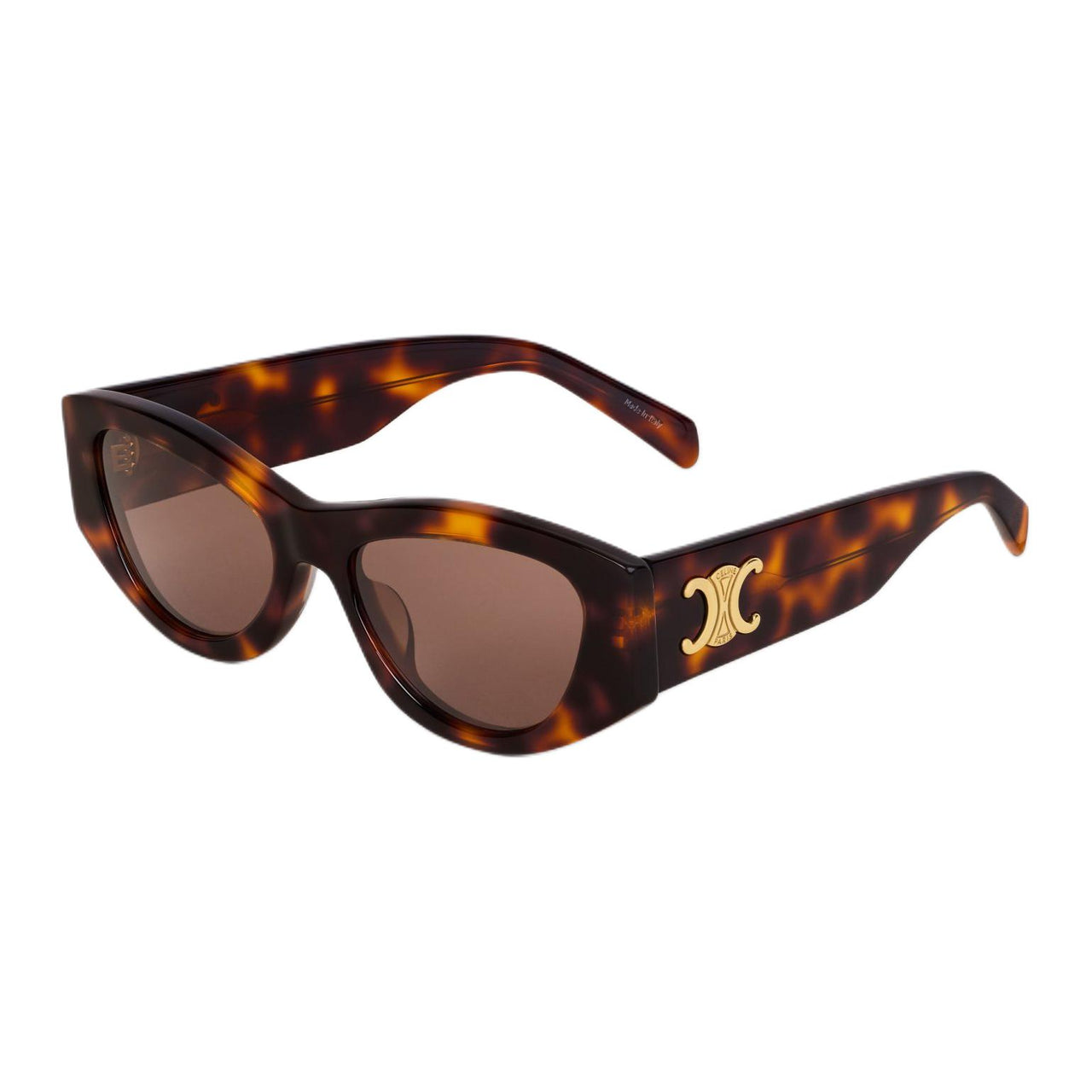 CELINE Triomphe 15 Sunglasses In Acetate