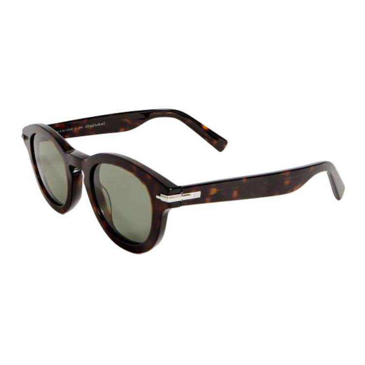 DIOR Acetate Oval Sunglasses Men's Tortoiseshell