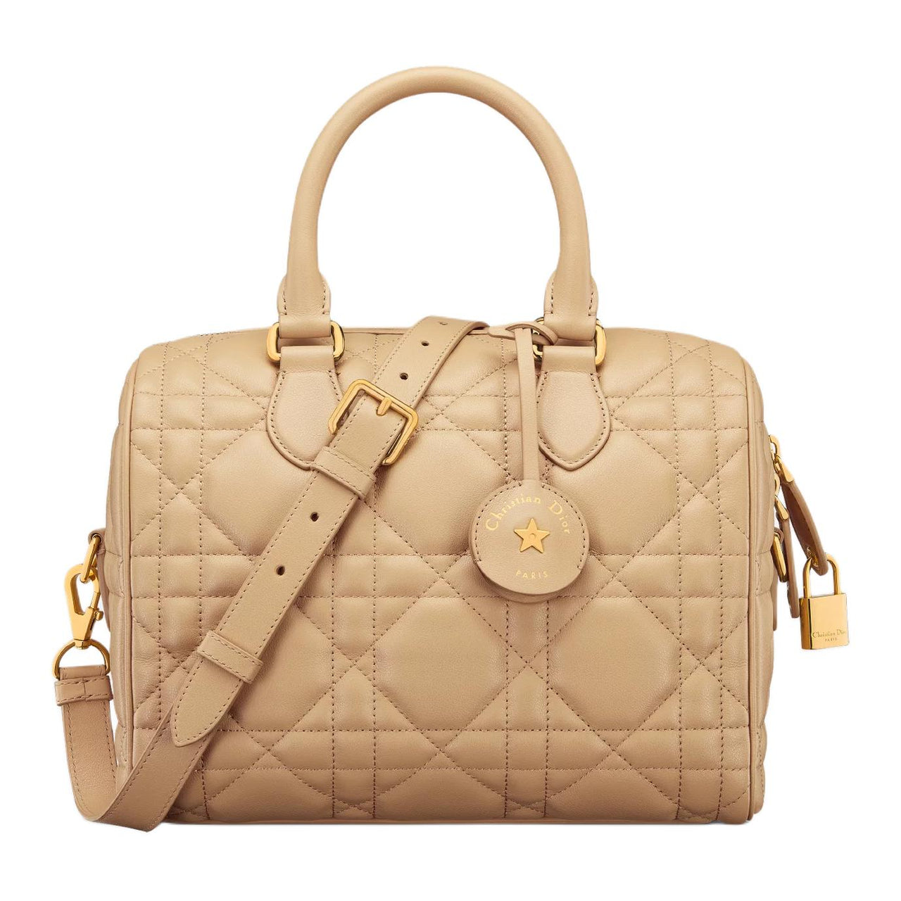 DIOR Calfskin Shoulder Bag Crossbody Bag Handbag Medium Size Women's Cookie