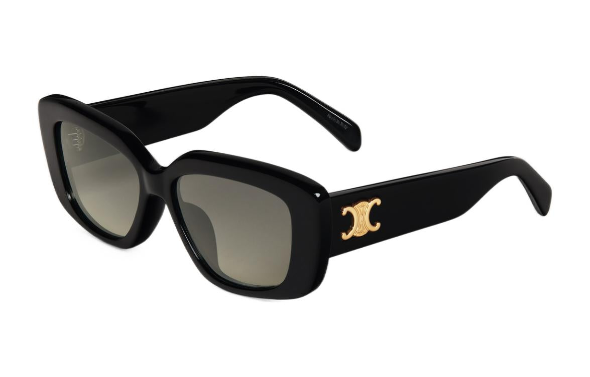 CELINE Triomphe 04 Sunglasses In Acetate