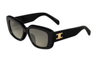 CELINE Triomphe 04 Sunglasses In Acetate