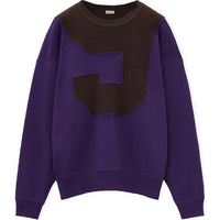 LOEWE FW24 Sweatshirt Men's Purple