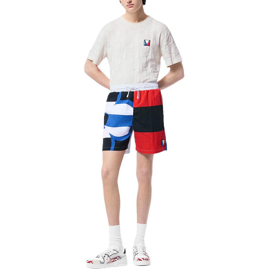 LOUIS VUITTON Printed Graphic Swim Shorts