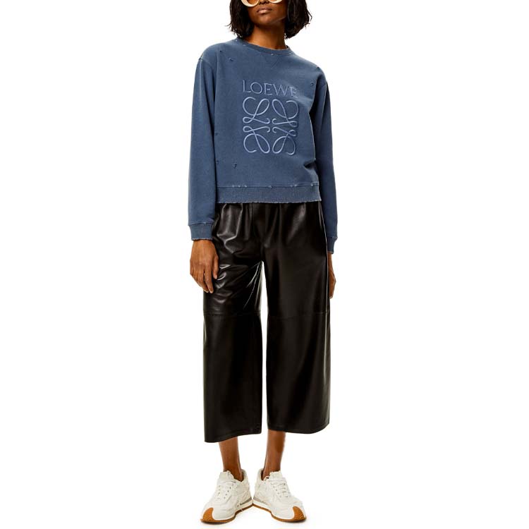 LOEWE Sweatshirt 'Trainquil Mountain Blue'