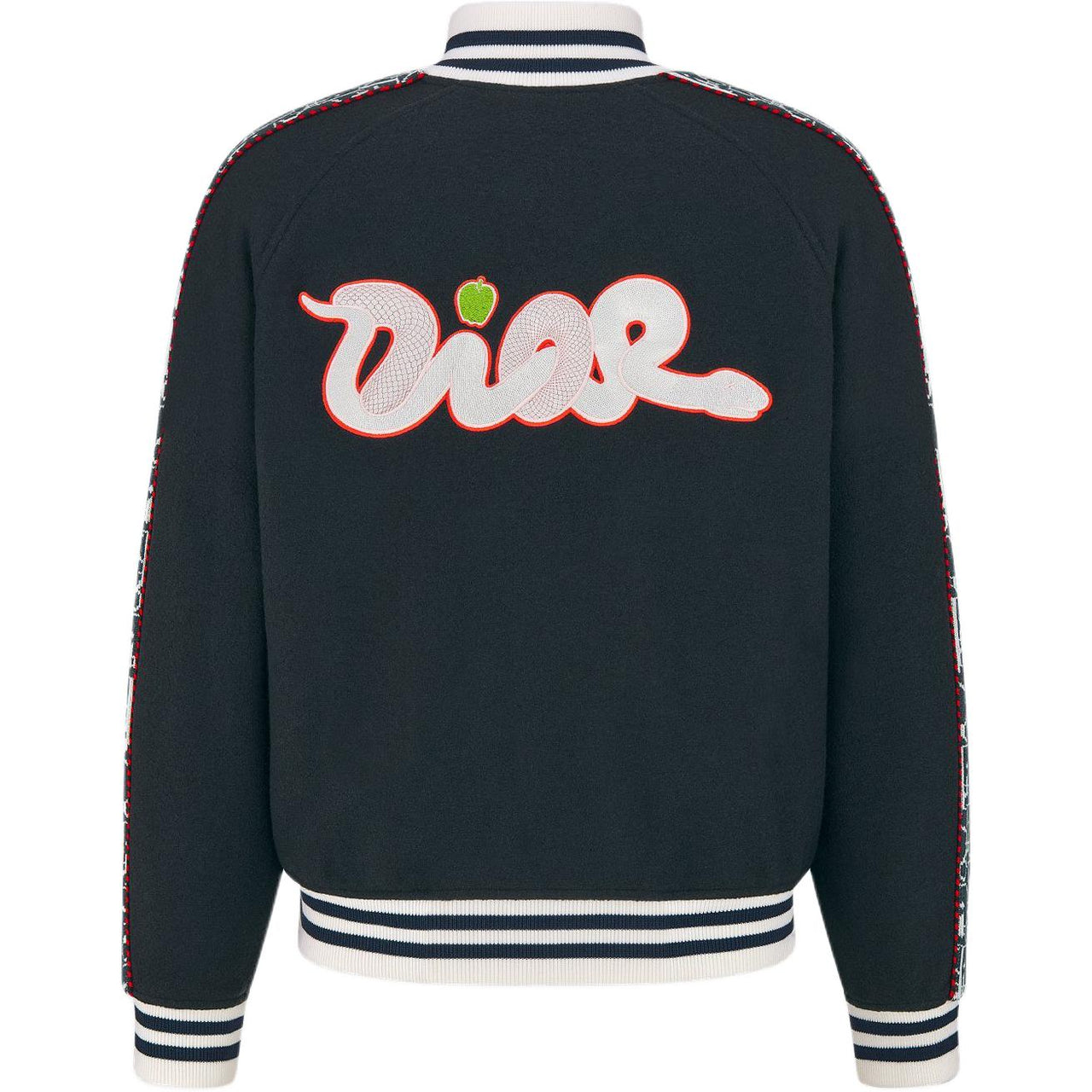 DIOR X Kaws Varsity Jacket