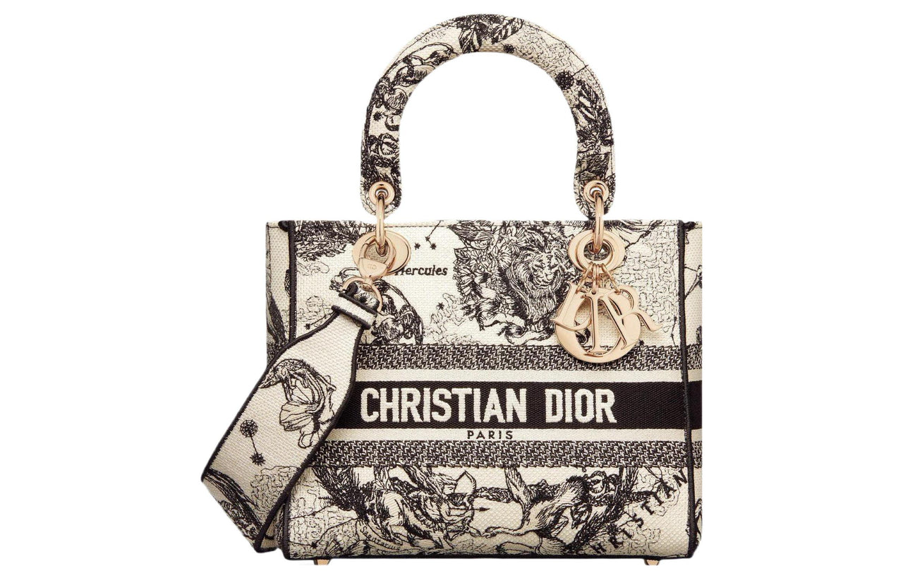 DIOR Embroidery Handbag Daphne Bag Shoulder Bag Crossbody Bag Handbag Medium Size Women's Milk White