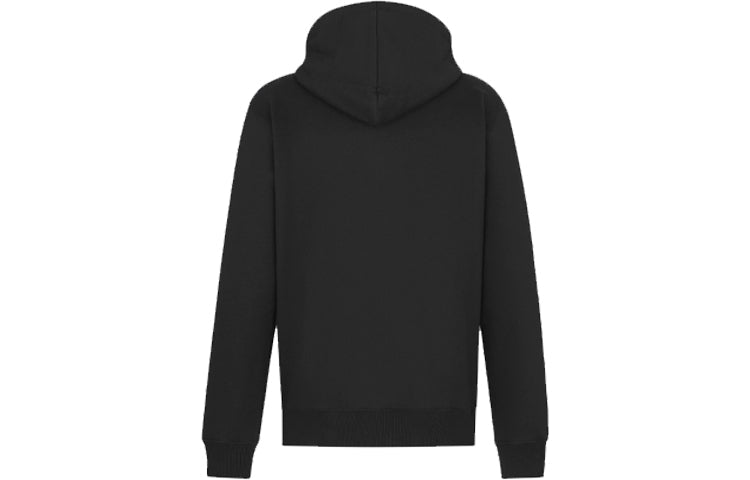 DIOR Arsham Logo Hoodie