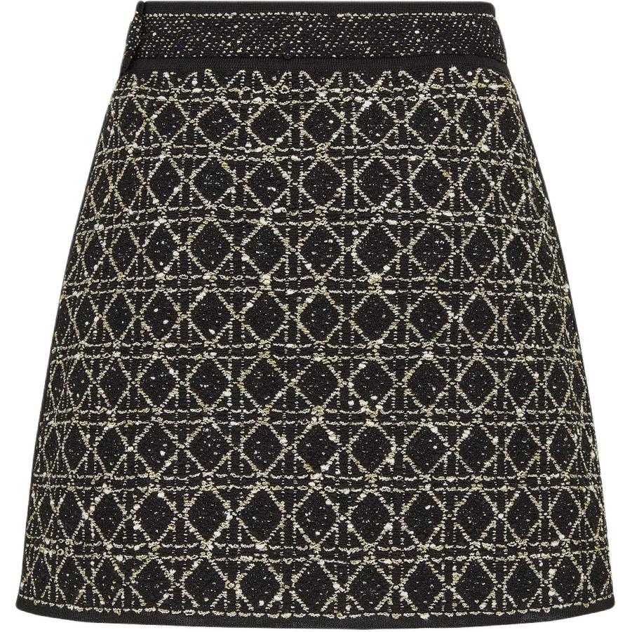 DIOR SS25 Casual Short Skirts Women's Black Gold
