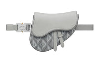 DIOR Canvas With Smooth Cow Leather Saddle Bag Fanny Pack Portable Crossbody Bag Shoulder Bag Mini Men's Gray