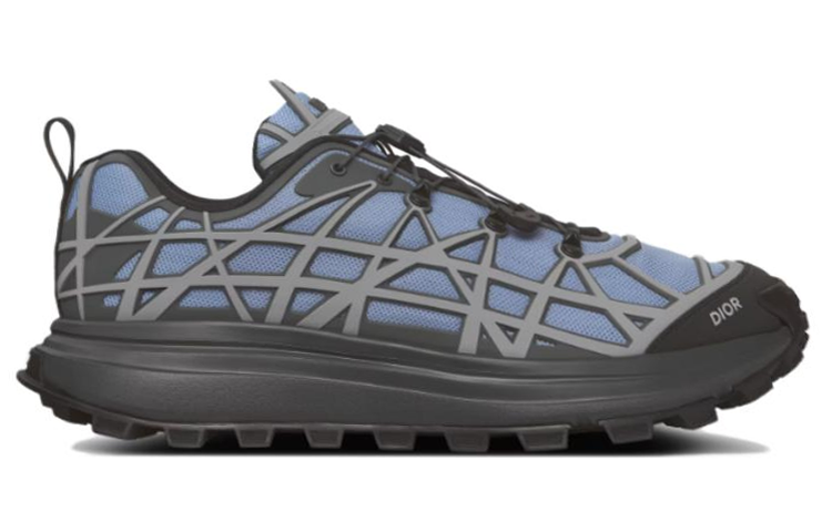 DIOR B31 Low Top Casual Shoes Men's Blue