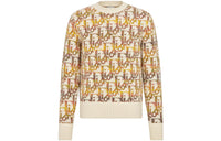 DIOR Quarterly New Products Sweaters Men Yellow