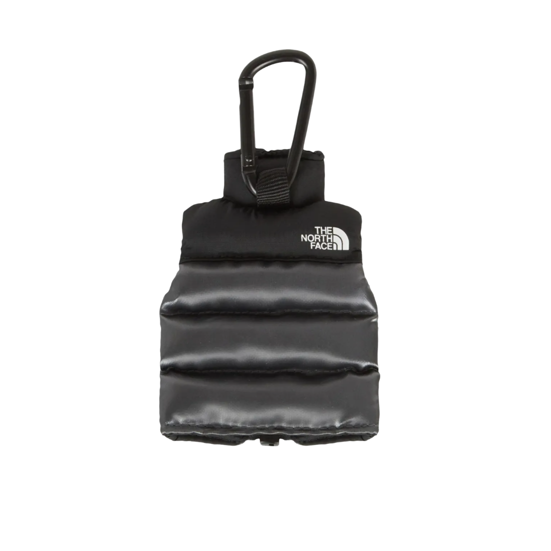 THE NORTH FACE Lie Down Best Keyring 'Silver Grey' NA5AR03G