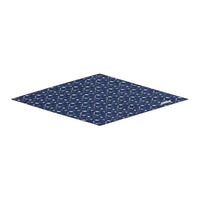 DIOR Silk Silk Scarves Women's Blue