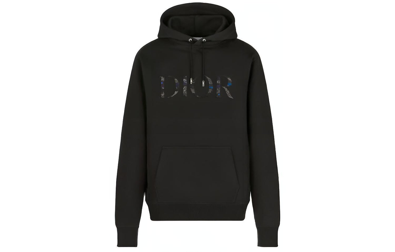 DIOR X Peter Doig Logo Hoodie