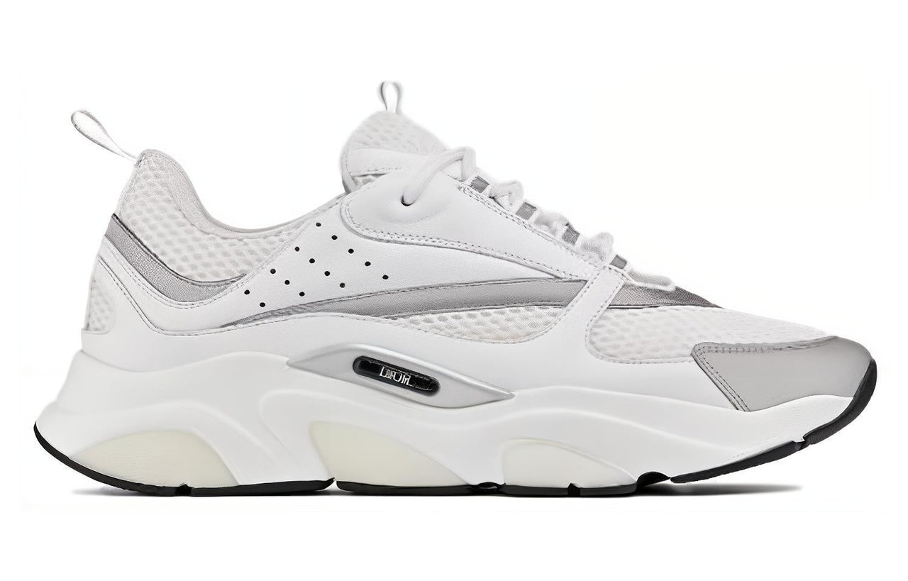 DIOR B22 White Silver
