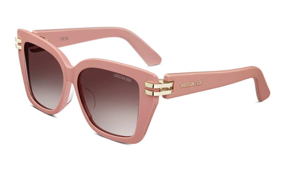 DIOR CDIOR S1I Square Frame Sunglasses