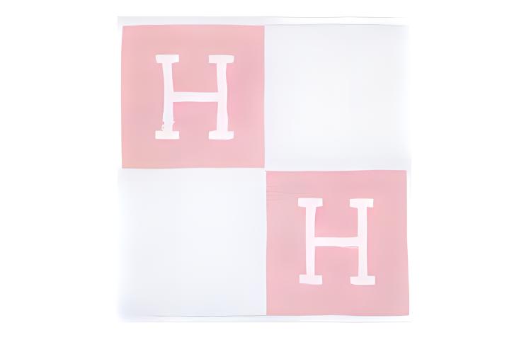 HERMES Towels