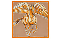 HERMES Shawls Women's Brown