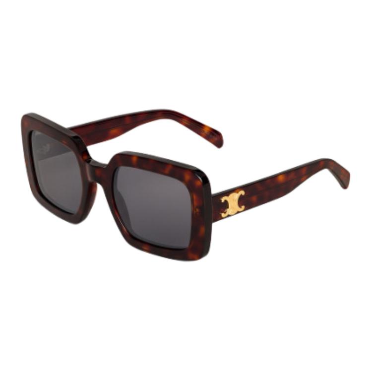 CELINE Triomphe 13 Sunglasses In Acetate