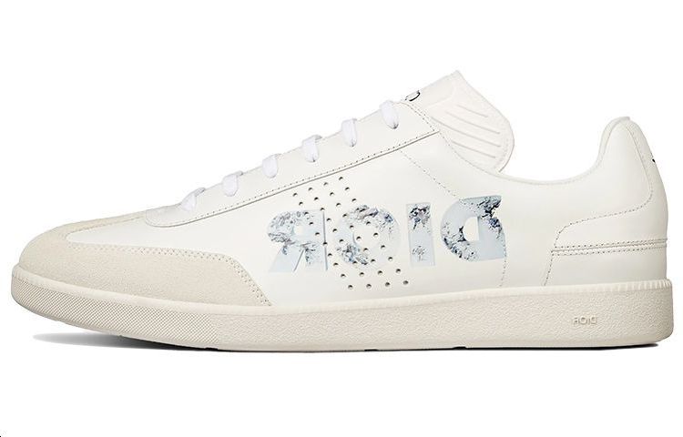 DIOR B01 Daniel Arsham Logo